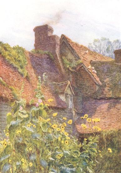 Backs, Godalming
