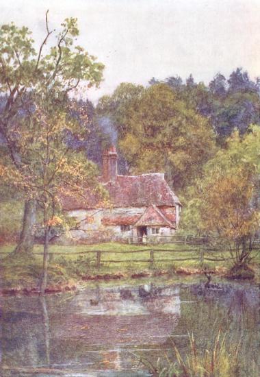 Chase Cottage and Pond