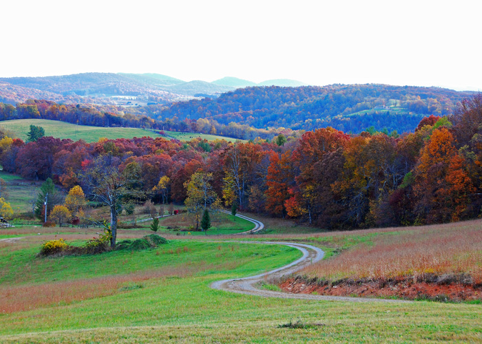 DSC_4504bs.jpg