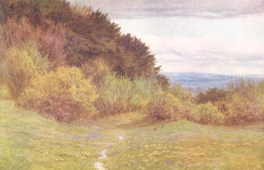 Downs near Westerham, Kent