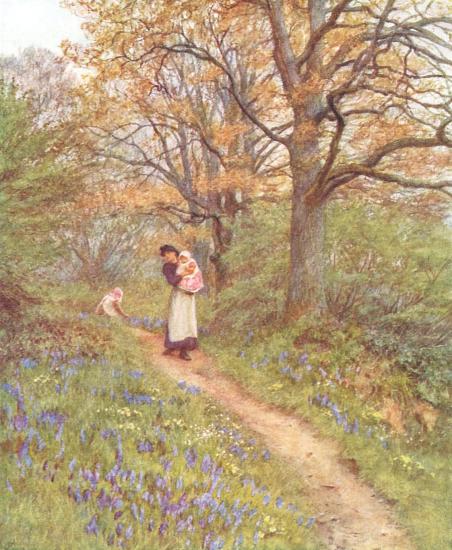 Bluebells