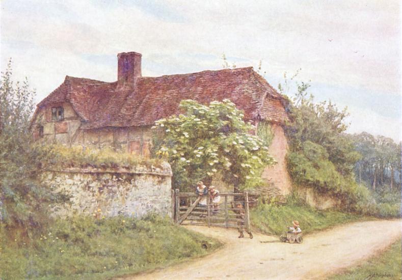 The Elder Bush, Brook Lane, Witley